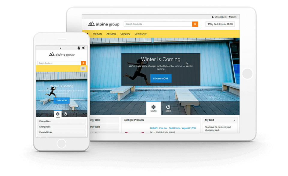 screenshot of Salesforce B2B Commerce